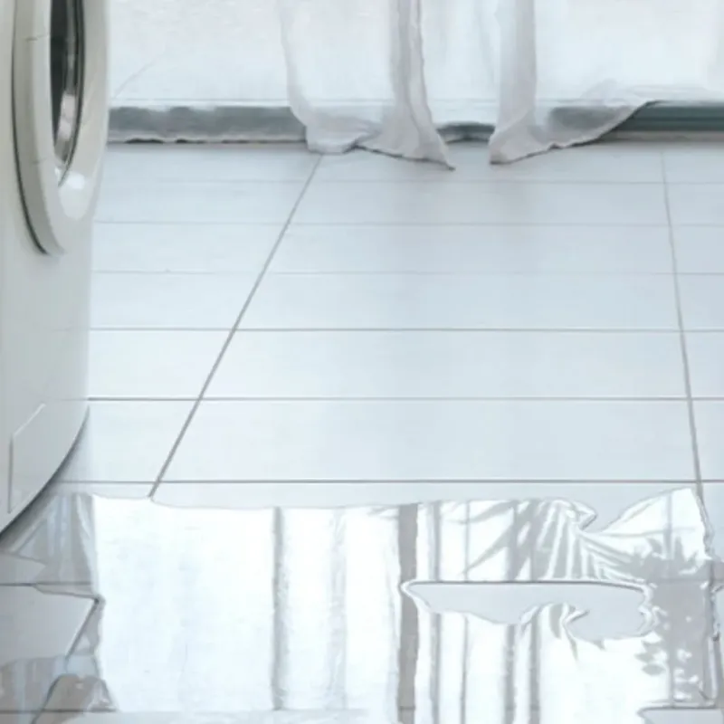 Appliance Leak Cleanup in Richville, OH