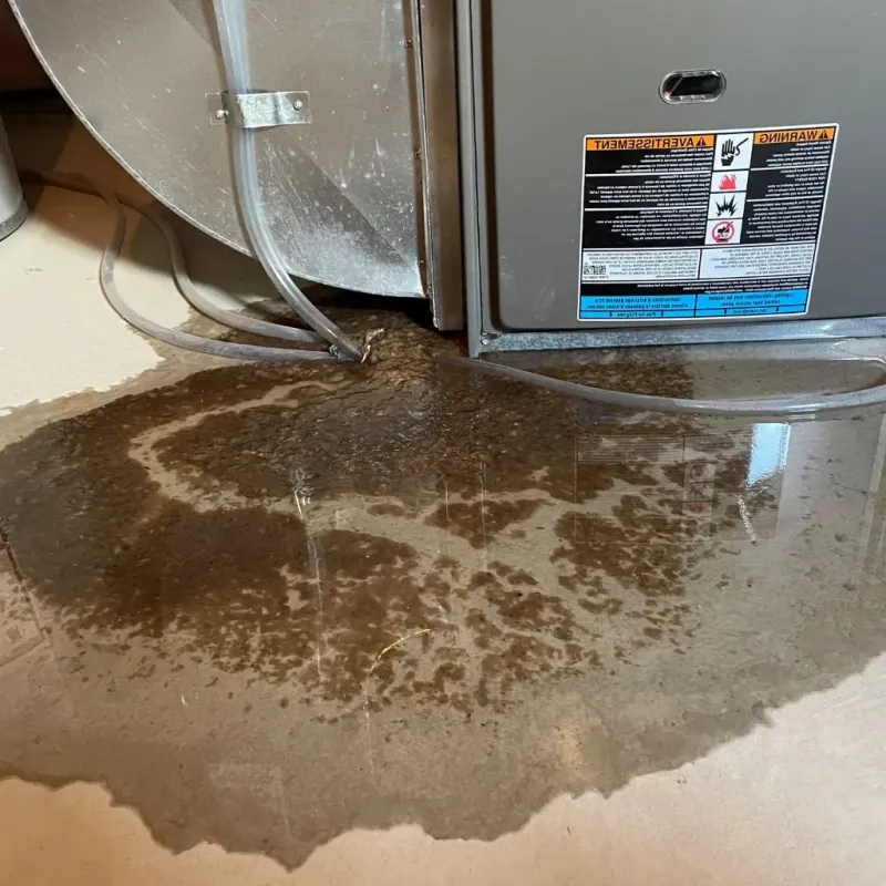 Pipe Burst and Leak Restoration in Richville, OH