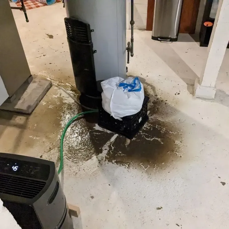 Sewage Backup Cleanup Service in Richville, OH